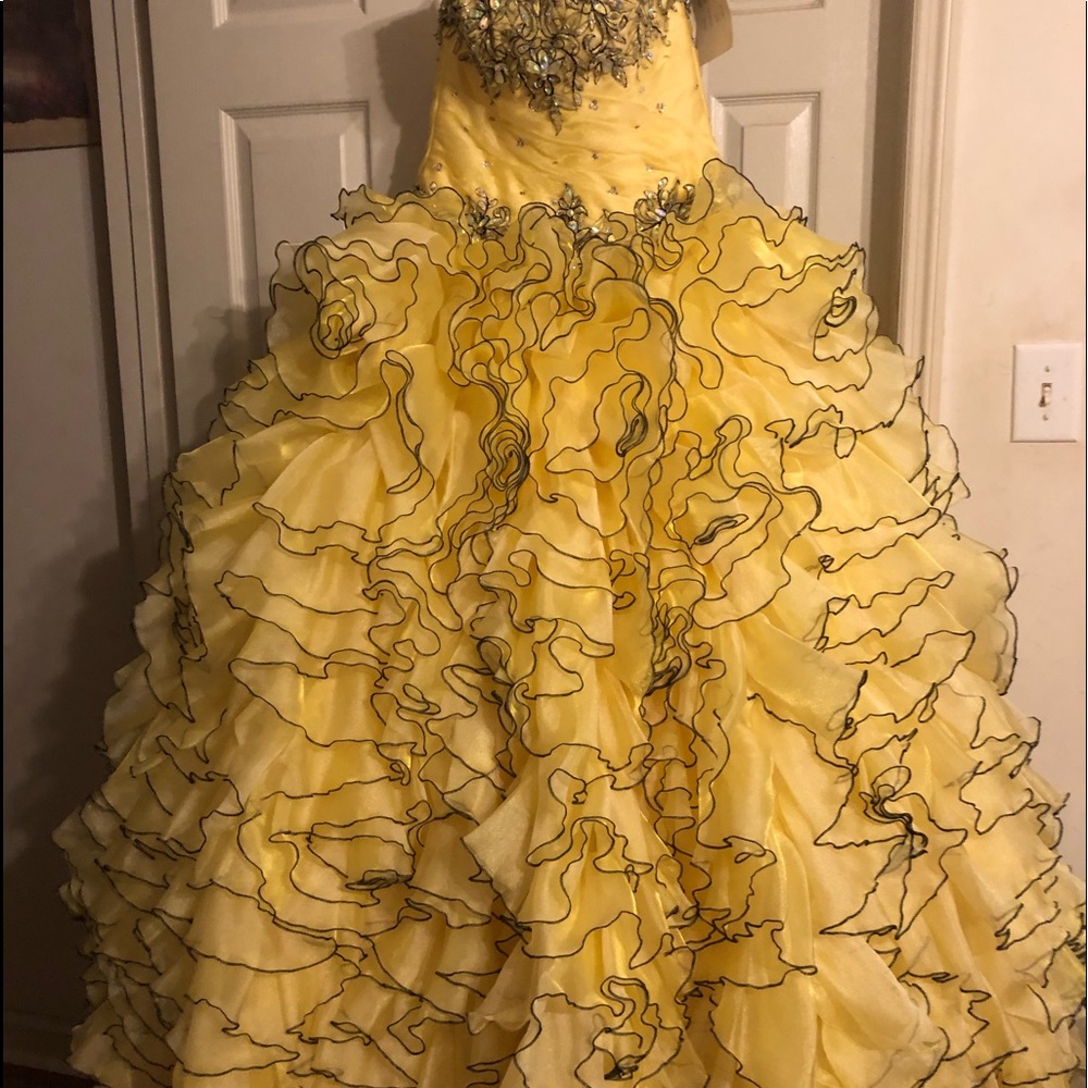 Brand new dress !!